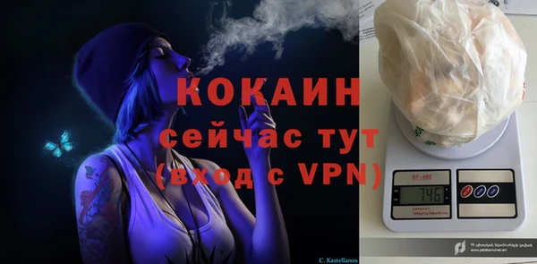 прущие грибы Балабаново