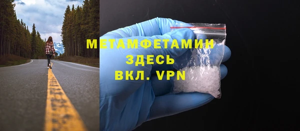 прущие грибы Балабаново