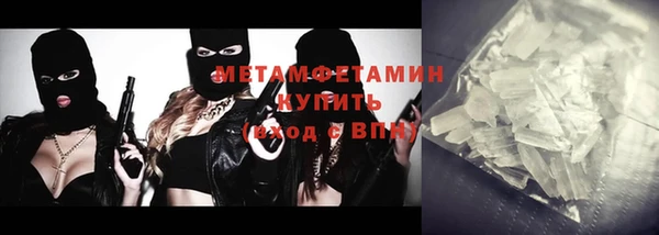 прущие грибы Балабаново