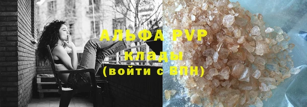 прущие грибы Балабаново