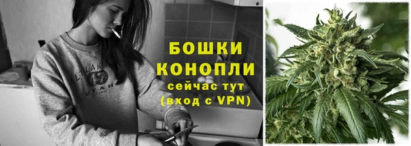 прущие грибы Балабаново