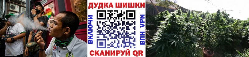 Каннабис Amnesia  Советская Гавань 